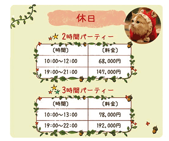 休日　2時間パーティー  10:00～12:00   68,000円 19:00～21:00 147,000円 3時間パーティー 10:00～13:00   78,000円 19:00～22:00 192,000円 