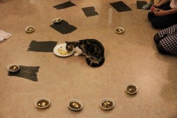 フォーメーションA2