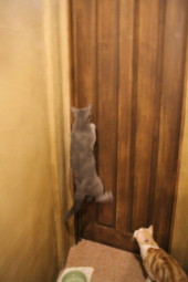 かかし扉 (2)_mini