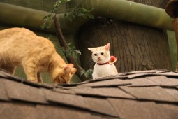 つくしぶろぐ11