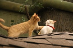 つくしぶろぐ12