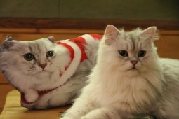 バルーンそっくり