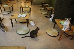 おもちゃハンター2