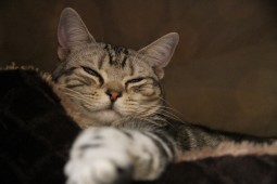 美しいじゃない?