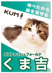 くま吉_A5