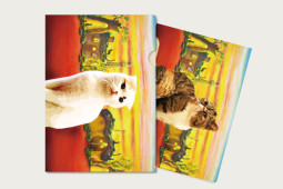 クリアファイル　たそがれ