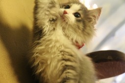 IMG_0772 - コピー