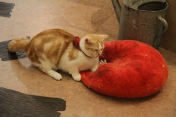 なんてこったい!