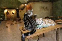 こっちは任せたぞ!